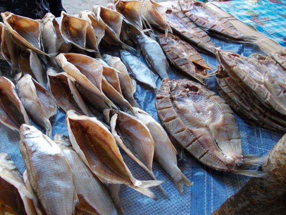 yamy - 10131794429180324817401177877505n.jpg